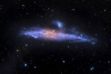 The Whale Galaxy