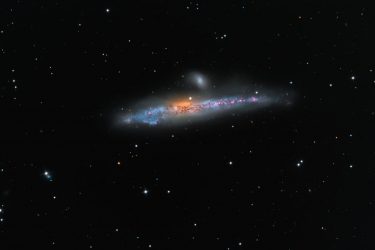 The Universe Whale Galaxy