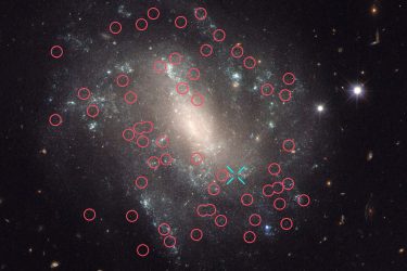 The Universe The Supernova and Cepheids of Spiral Galaxy UGC 9391